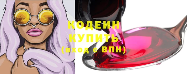 мдпв Верхний Тагил