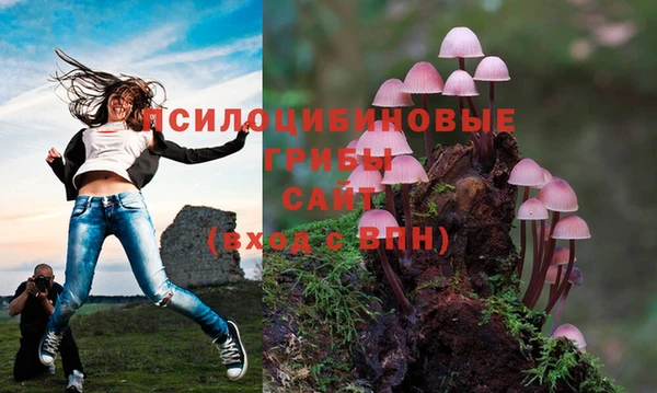 мдпв Верхний Тагил
