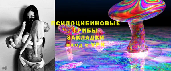 мдпв Верхний Тагил
