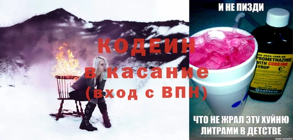 мдпв Верхний Тагил