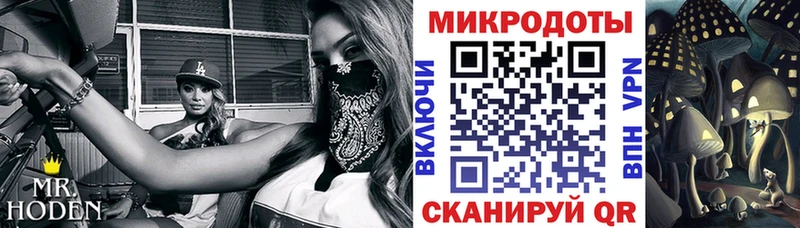 Псилоцибиновые грибы прущие грибы  Цивильск 